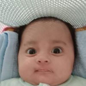 Peetrika Si Putri Bongsu profile icon