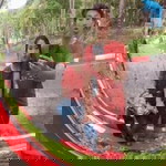 Lilly Liliana Pcr profile icon