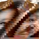 Cristine Ambrocio Paguntalan profile icon