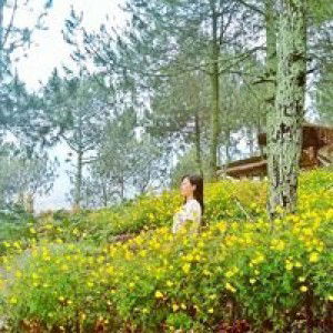 Risvy Renvy profile icon