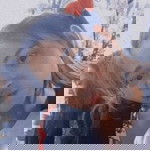 Eh Dah Ku profile icon