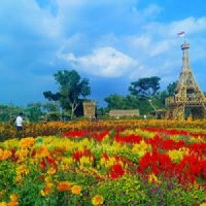 Afifah Suhaemah profile icon