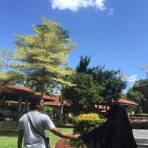 Nurul Ayescha profile icon