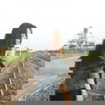 ฝน เฉื่อย profile icon