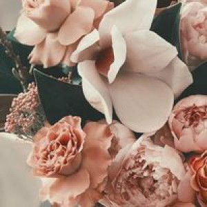 Suprihatin profile icon