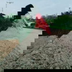 Kanlaya Seejai profile icon