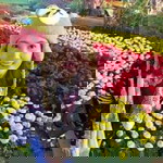 Jan Uary profile icon