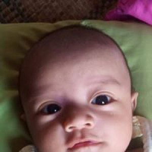 Ifaa Dedi profile icon