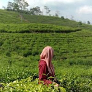 Ita Restiyana profile icon