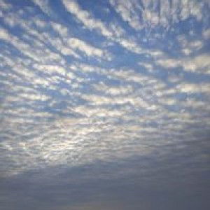 Luơng Đình Nam profile icon