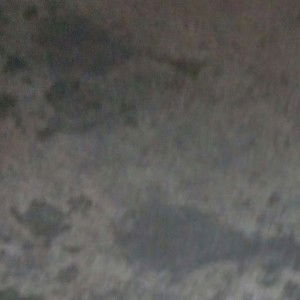 udey benua profile icon