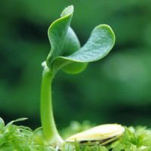 Hằng Trịnh profile icon