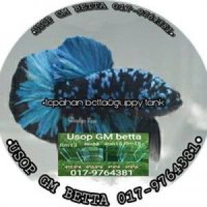 Usop GM Betta profile icon