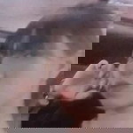 Waninchaporn Akkho profile icon