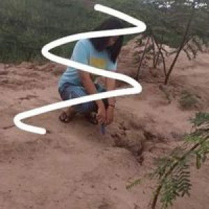 มาย' อ๊อก'ก profile icon