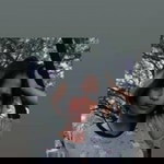 ณัฐชา าฯ. profile icon