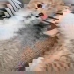 نور اغنية ابراهيم profile icon