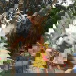 Trịnh Hiền profile icon