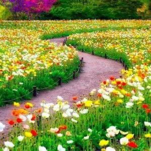 hayati nur profile icon