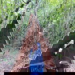 Andi Firmayanti profile icon