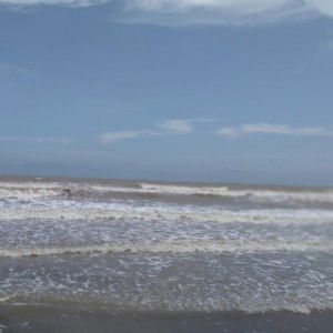 Hương Lưu profile icon