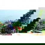 alawiah handayani profile icon