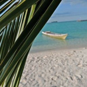 ummu shafiyyah profile icon