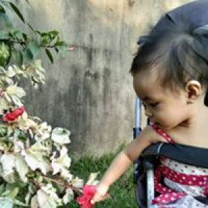 Jhoy Jalimao Posadas profile icon