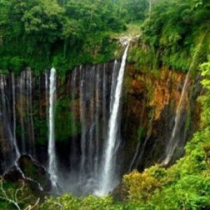 Artsilia Sasmita profile icon