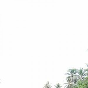 Jay Gozon Sarco profile icon