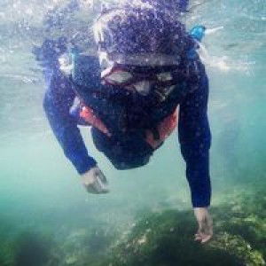 Wsamsiyah profile icon