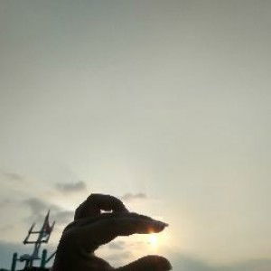 Ranii 17 profile icon