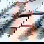 Aung Love profile icon