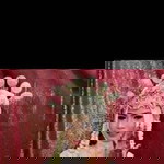 Ardiyanti Vernanda profile icon