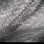 Cindy Aguinaldo profile icon