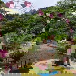 Mutahharah RHara profile icon