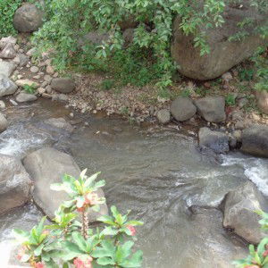 siti kudsiyah profile icon