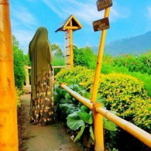 Ipit Ibrahim profile icon