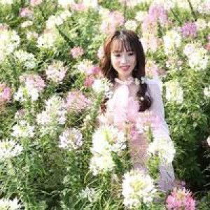 Thuyền Niki profile icon