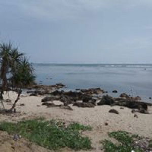 Fitriyana profile icon