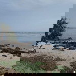 Fitriyana profile icon