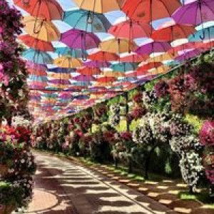 Ferjen Penaflor profile icon