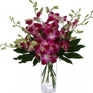 Tri lestari profile icon