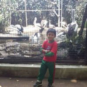 Dede Suherman profile icon