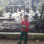 Dede Suherman profile icon