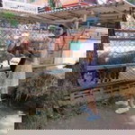 Phennapa Houblim profile icon