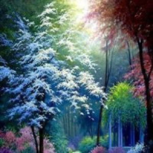 Junaida Ismail profile icon