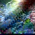 Junaida Ismail profile icon