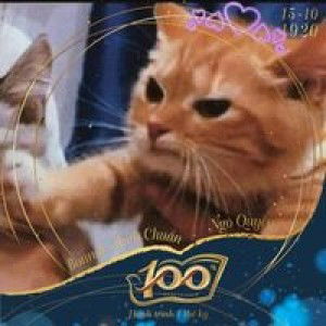 Nhật Linh profile icon