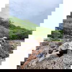 ปลาย' ปวี profile icon